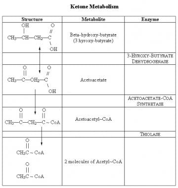 Metabolism Type Chart