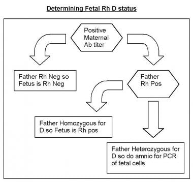 Determining fetal Rh D status. 