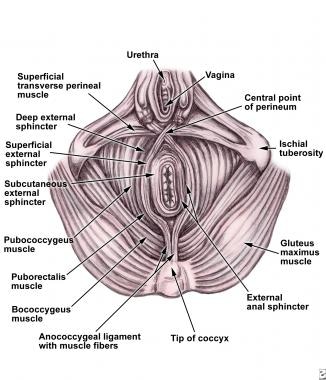 Mature Ass Prolapse