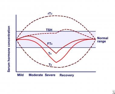 Euthyroid病综合症。塞鲁之间的关系