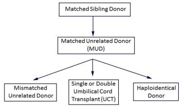 An algorithm for typically preferred hematopoietic