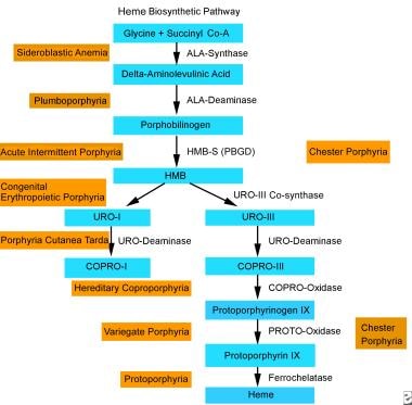 This schematic diagram of biochemical abnormality 