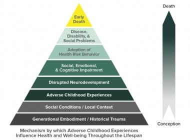 Adverse Childhood Experience (ACE) Pyramid. Courte