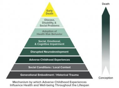 不良童年经历(ACE)金字塔。Courte