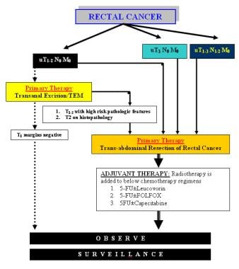 Rectal Cancer Treatment & Management: Approach Considerations, Neoadjuvant  Therapy, Transanal Excision