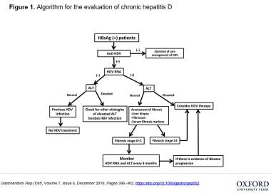 Algorithm for the evaluation of chronic hepatitis 