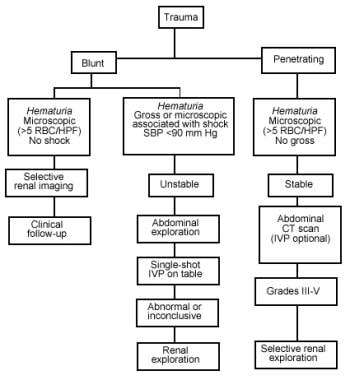 Renal Chart In Pediatric