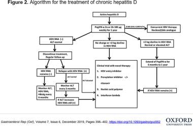 hepatitis b treatment algorithm