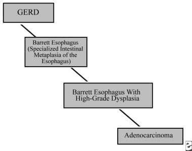 Gastroesophageal reflux disease (GERD)/Barrett eso