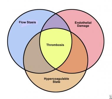 Virchow triad for the pathophysiology of thrombus 