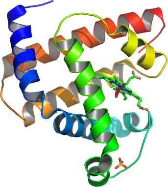 Staph infection-induced kidney disease may be linked to bacterial gene  mutation