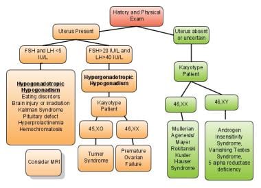 Amenorrhea Differential Diagnoses