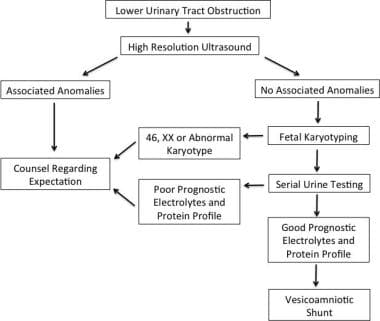 Treatment algorithm for fetal lower urinary tract 