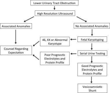 Fetal Surgery for Urinary Tract Obstruction: Background, Indications,  Contraindications