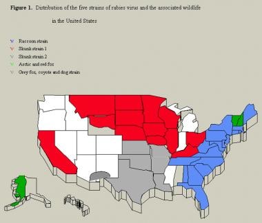 Distribution of the 5 strains of rabies virus and 