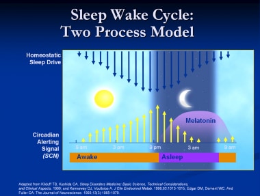 Sleep-wake cycle. 