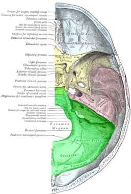 Posterior Fossa Tumors: Practice Essentials, Pathophysiology, Relevant  Anatomy