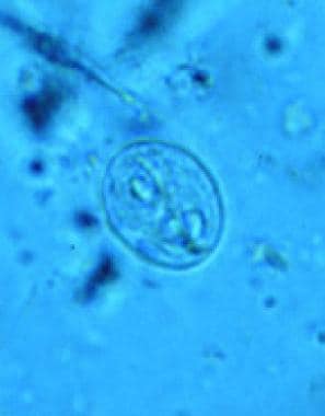 can giardia cause cyclic diarrhea in dogs