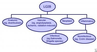 Lower Gastrointestinal Bleeding: Practice Essentials, Background