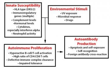 In systemic lupus erythematosus (SLE), many geneti