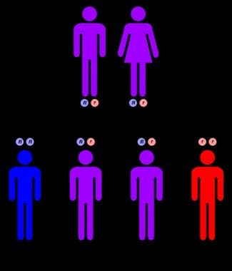 常染色体隐性遗传模式。