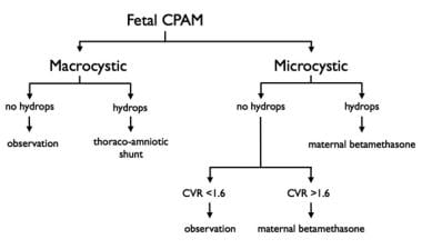 Fetal Surgery for Congenital Pulmonary Airway Malformation ...