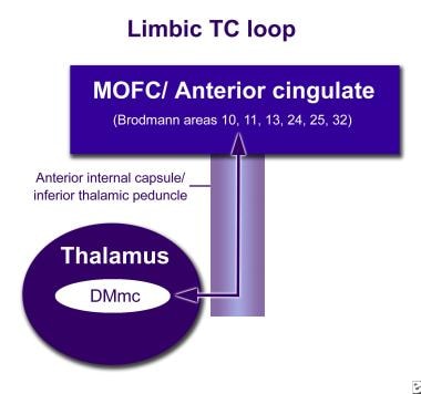 The cortico-striato-thalamocortical loop (CSTC loo