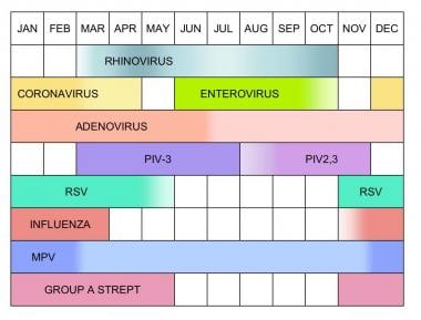 Seasonal variation of selected upper respiratory t