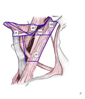 central neck dissection technique