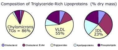富含甘油三酯(TG)脂蛋白的组成