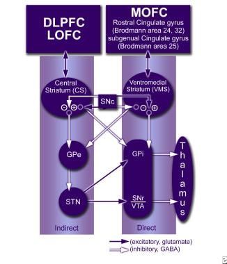 The associative thalamocortical loop. DLPFC = dors