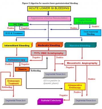 Approach to hematochezia: Clinical sciences - Osmosis Video Library