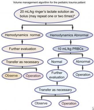 Placement of an Abdominal Wrap to Control Hemodynamics