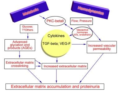 Diabetic Nephropathy: Practice Essentials, Pathophysiology, Etiology