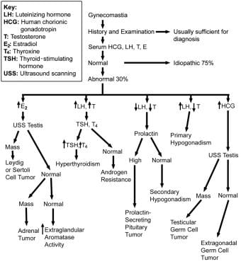 Flow chart of the workup to determine the etiology