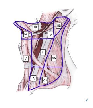 central neck dissection technique