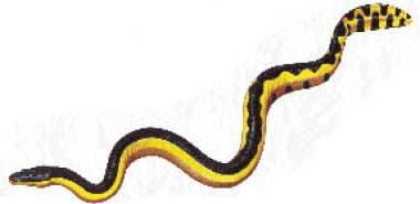 Yellow-belly pelagic sea snake. Illustration by Da