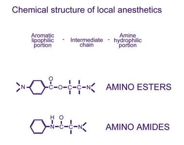 2类本地蚁的化学结构