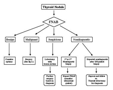 Algorithm for the management of a solitary thyroid