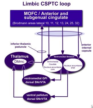 How neuromodulation at the anterior internal capsu