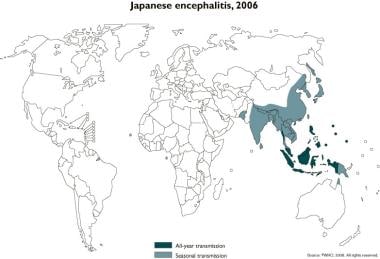 日本脑炎，2006年。由世界卫生组织提供。