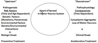 Als Progression Chart