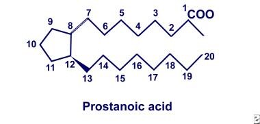 Twenty-carbon polyunsaturated fatty acid with cycl