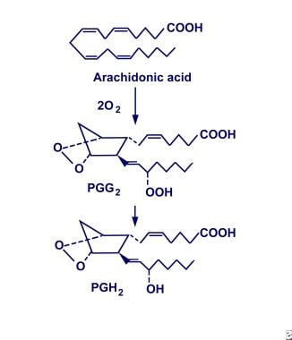 Cyclooxygenase conversion of arachidonic acid into