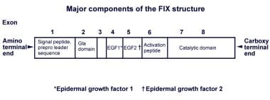 因素IX结构的主要组成部分。