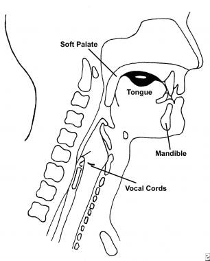 Oral preparatory phase of normal swallowing.