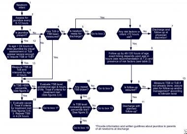 Aap Chart For Neonatal Jaundice