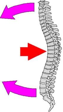 Lumbar Compression Fracture: Practice Essentials, Pathophysiology,  Epidemiology