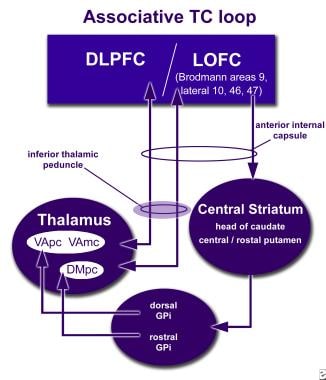 How neuromodulation at the inferior thalamic pedun