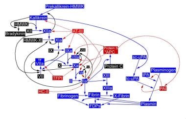 The hemostatic pathway: role of factor IX. 